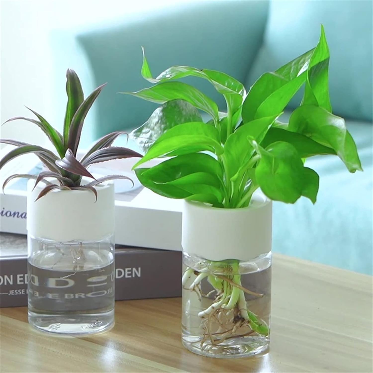 TrendyVault™ GlassBloom Pots – Stylish Soilless Plant Decoration