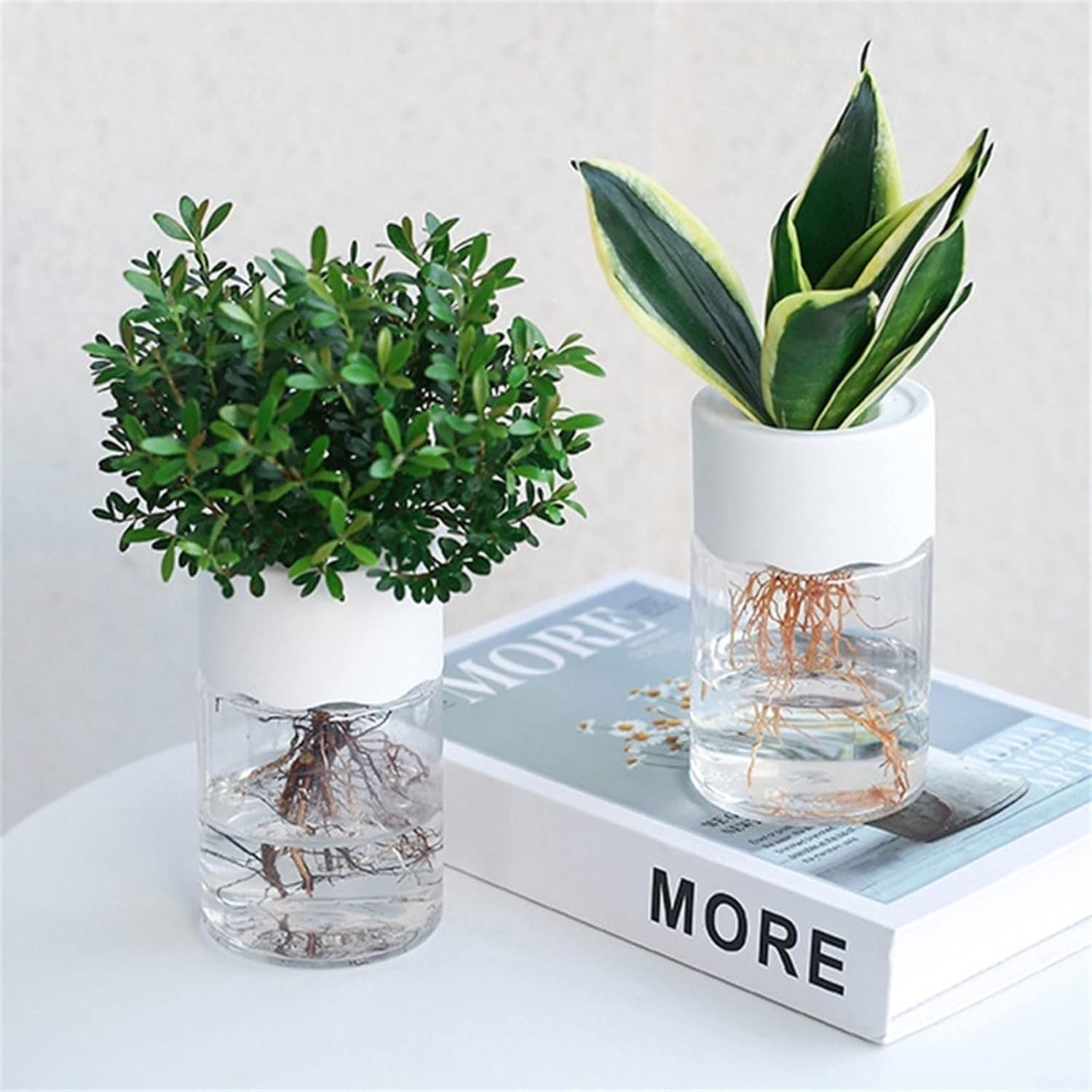 TrendyVault™ GlassBloom Pots – Stylish Soilless Plant Decoration