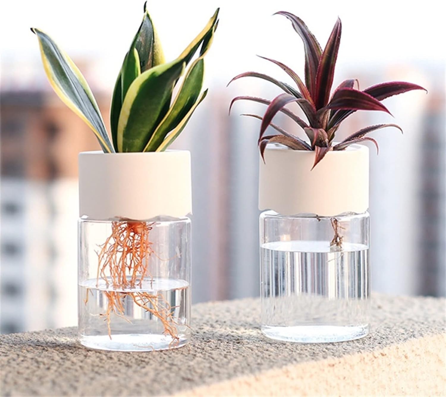 TrendyVault™ GlassBloom Pots – Stylish Soilless Plant Decoration