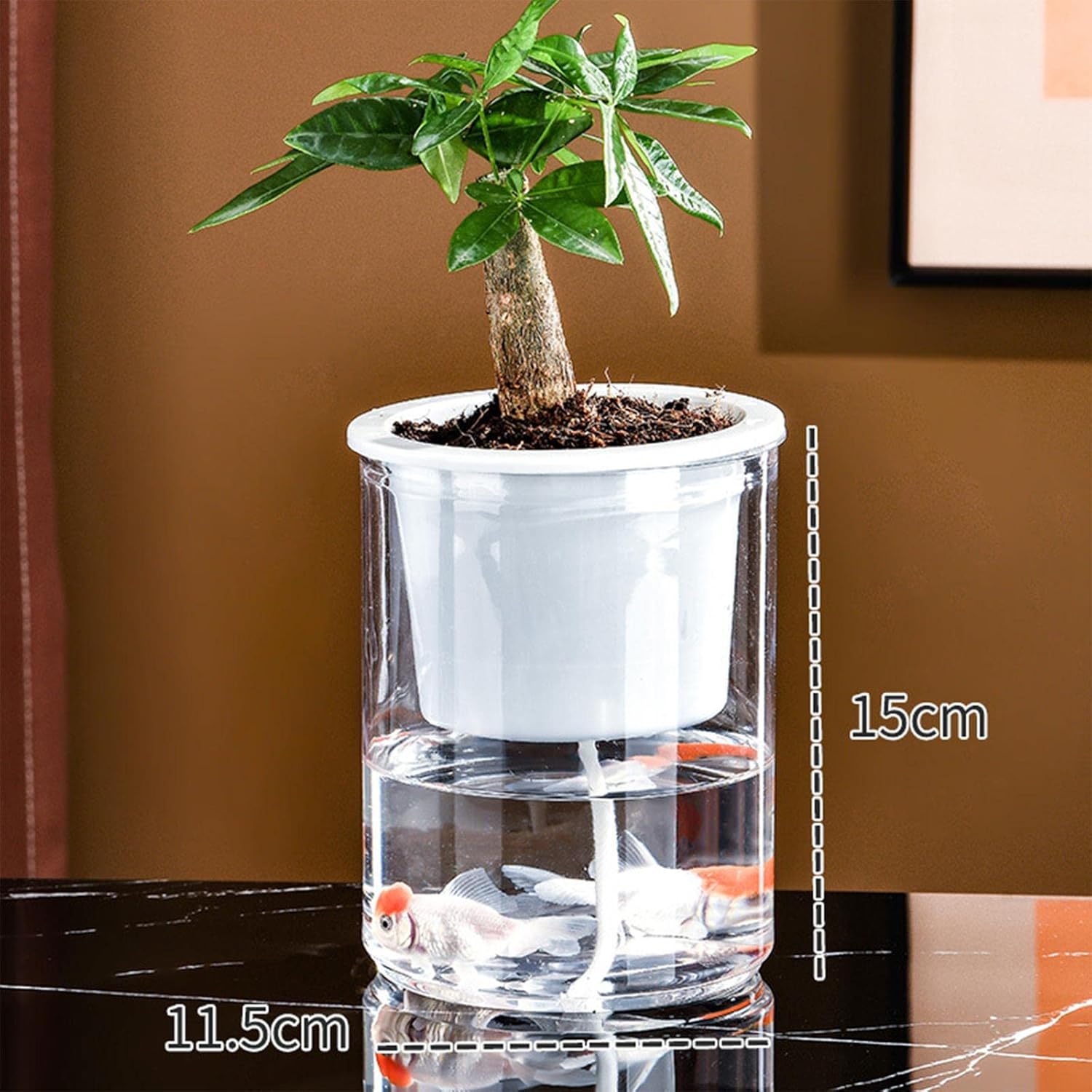 TrendyVault™ GlassBloom Pots – Stylish Soilless Plant Decoration